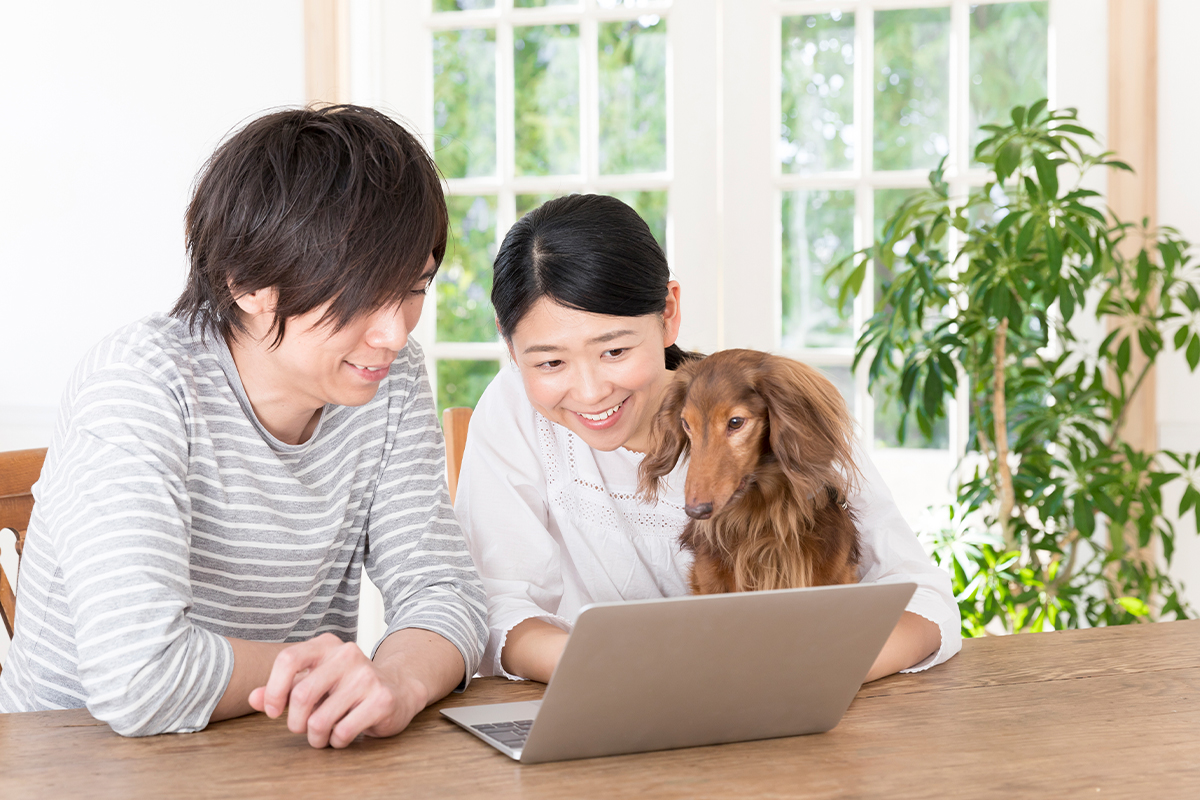 愛犬のしつけコース